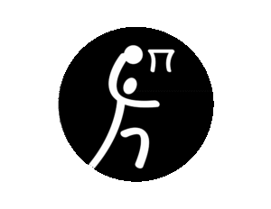 Basketball Icon
