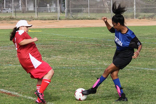 2024 OC Fall Competition soccer