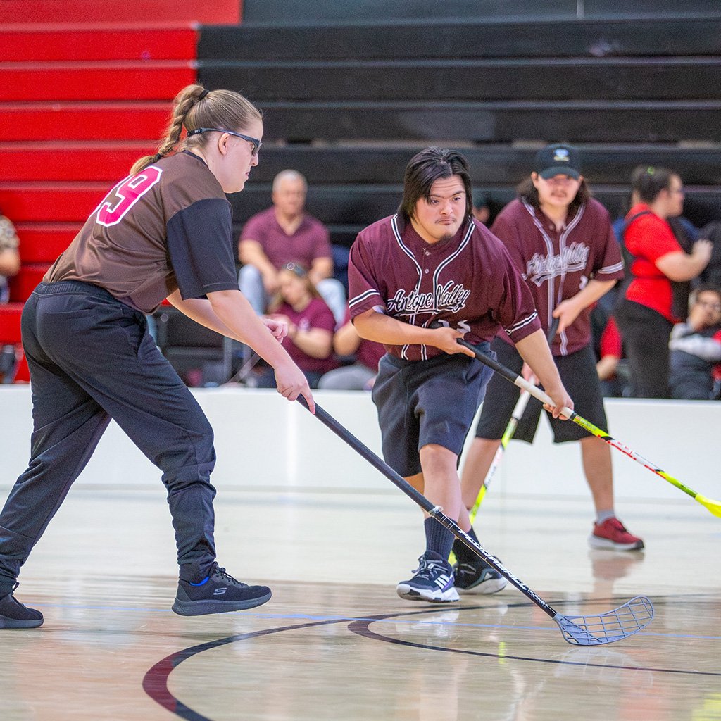 Sports Floorball