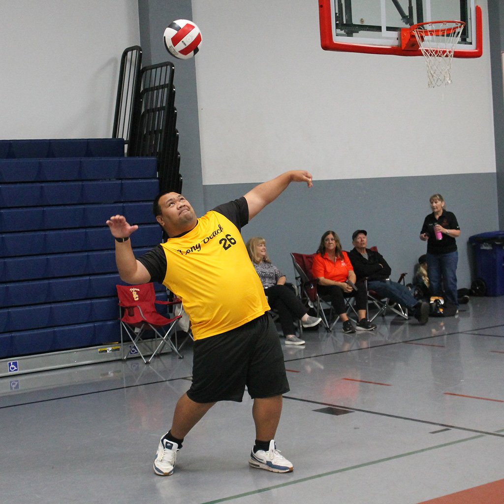 Sports Volleyball